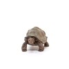 Schleich Wild Life- 7"Realistic Giant Tortoise Toy Animal Figurine -