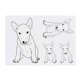 4 x 'English Bull Terrier' Temporary Tattoos - Water Resistant, Skin-Safe, Non-Toxic Transfers, Mixed Sizes (TO00050587)