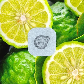 AROMA STICKERS® (Bergamot, Pack of 1-100% Natural Essential Oil Scented Mask Stickers for Face Mask & Pillow (12 stickers/pc) -Pure Essential Oil Scented Mask Patch/Personal Aroma/Relaxing