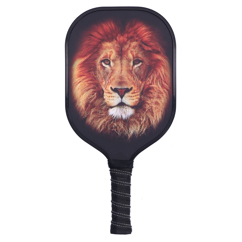 LEIJIAER Pickleball Paddle Set Carbon Fiber Face Racket with 2Pcs