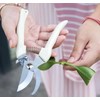 Stainless Steel Pruning Shears Fruit Flower Shears Garden Tool Scissors