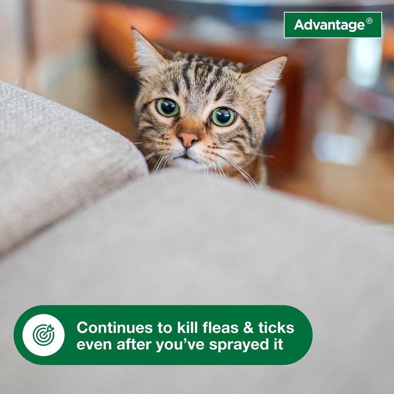 Advantage Carpet & Upholstery Spot Spray | Kills Fleas &