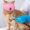 6 Pcs Cat Muzzle for Grooming Breathable Mesh Muzzles Gentle