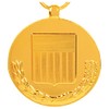 National Defense Service Medal Anodized Full Size