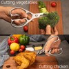 Multi-Purpose Kitchen Scissors WELLSTAR, Premium Stainless Steel Solid Kitchen Shears