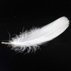 Feather Shower Feathers, Plenty of 120 Pieces, Decorative Feathers, Wedding,