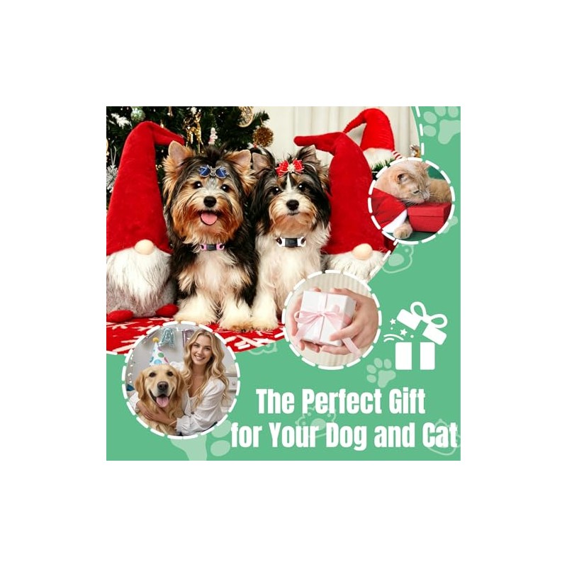 Pack de 3 Custom Slide On Silent Pet ID Tags,