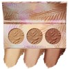 Physicians Formula Murumuru Butter Bronzer Palette, 0.1 Ounce