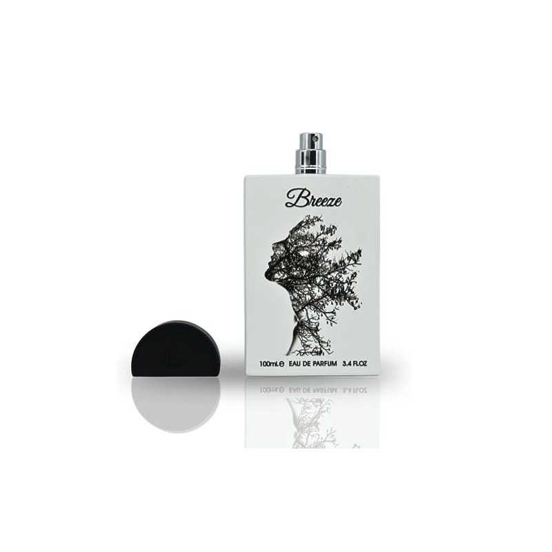 BREEZE 100ML