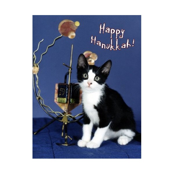 Pet Star Hanukkah Cards - Cat with Dreidel