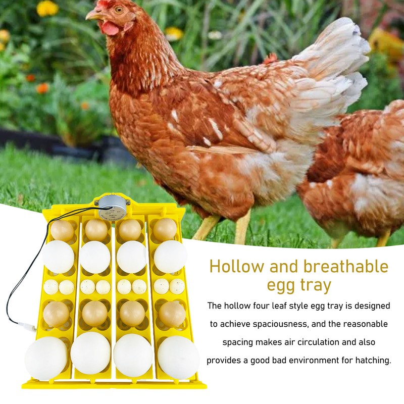 Egg Turning Tray Multifunction Automatic Egg Turner Incubator Tray for