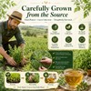 WOTIHA Wormwood Tea Bags, Pure Bitter Herbal Tea, 2.64 oz