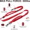 DOCO Retractable Bungee Dog Leash for Running Walking Jogging, Training,