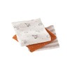 Vertbaudet Pack of 3 organic cotton changing cloths, globetrotters
