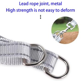 AILEVERS Easy Walk Dog Harness - No Pull Dog Harness，Dog Harness Collar and Leash Set Step in Pet Harness for Small Medium Dogs and Cats Outdoor Walking Running， Dog Vest Harnesses (Baby Blue, S)