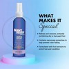 One 'n Only Shiny Silver Ultra Shine Spray, Restores Shiny
