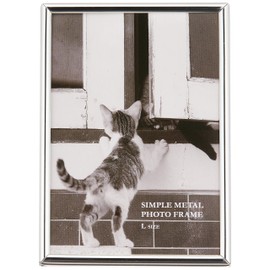 FUJICOLOR 505911 Photo Stand, 1202L, Metal, Large, Silver