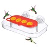 Window Hummingbird Feeder, Strong Suction Bird Feeder Window, with 4