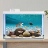 AWERT 48x24 inches Undersea Aquarium Background Pool Ocean Floor Aquarium
