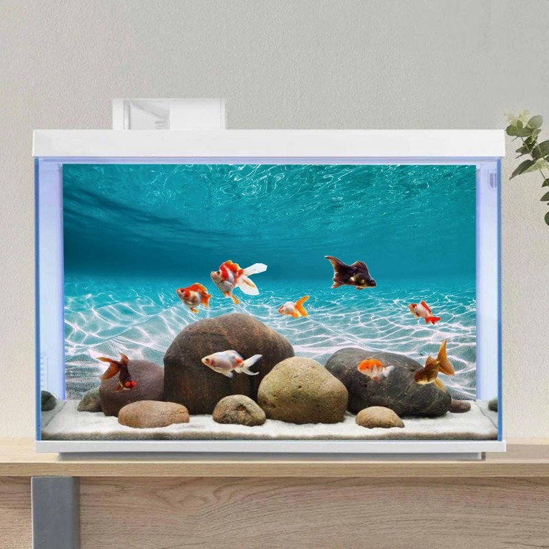 AWERT 48x24 inches Undersea Aquarium Background Pool Ocean Floor Aquarium