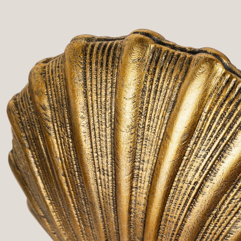 MXARLTR Decorative Shell Bookends, Coastal Nautical Book Ends for Shelves