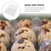 Cabilock Pack of 12 24 Egg Boxes Quail Eggs Transparent