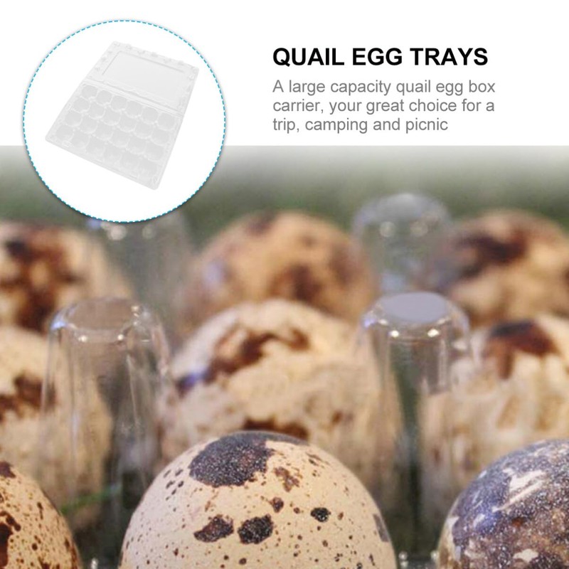 Cabilock Pack of 12 24 Egg Boxes Quail Eggs Transparent