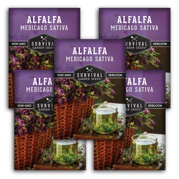 Survival Garden Seeds - Alfalfa Seed for Planting - 5