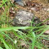Key Hider Outside, Rock Holder for Outdoor, Hide Your Spare