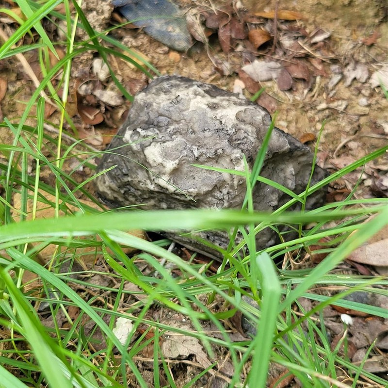 Key Hider Outside, Rock Holder for Outdoor, Hide Your Spare