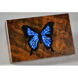 Crushed mother-of-pearl Inlay Supplies for Woodworkers, Turners, Casters, Luthiers, Professionals and Hobbyists - Flake, 1 oz.