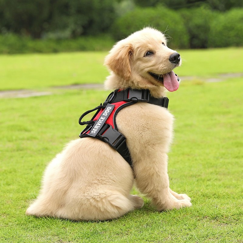 Belababy Dog Harness Small Medium Large, Reflective Tactical No Pull