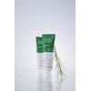 Mediheal Tea Tree Hydrating Soothing Sunscreen 50ml
