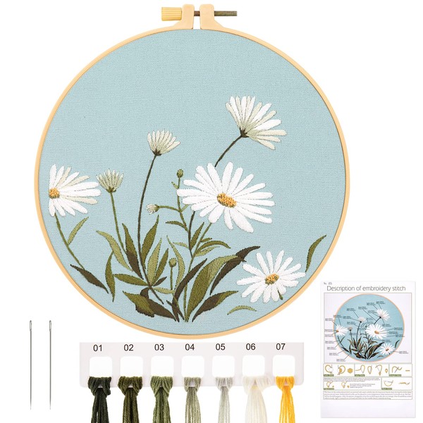 JSRQT Embroidery Kits for Adults, DIY Cross Stitch Kit with