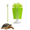 Turtle Brush with Suction Cup Turtle Brush Turtle Tank Accessories