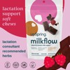 Milkflow® Breastfeeding Chews, Chocolate Raspberry, 28 Count – 2 Pack