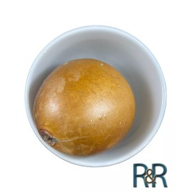 RR LLC Traditional Mexican Guaje Cirial PROMOCIÓN Organic Whole Free Ship FRESH A+ USA - 5 Whole