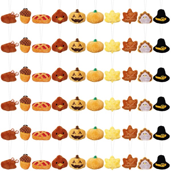 Libima 60 Pcs Thanksgiving Mini Stuffed Animals Fall Plush Keychain