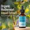 HERBAMAMA Motherwort Tincture - Organic Motherwort Herb Liquid Drops -