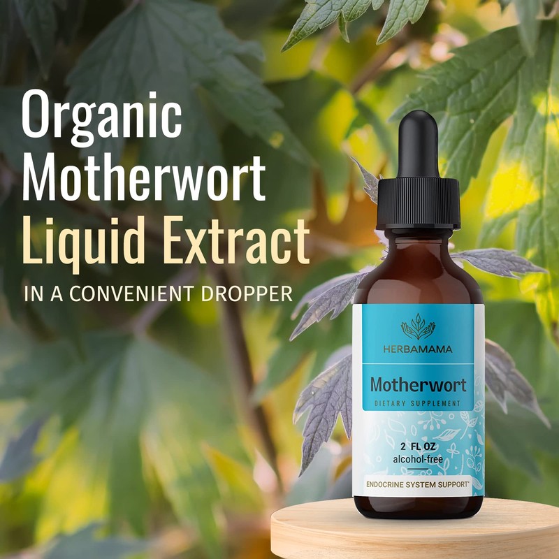 HERBAMAMA Motherwort Tincture - Organic Motherwort Herb Liquid Drops -