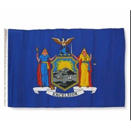 AES New York State 12x18 12"x18" Sleeve Garden Flag