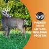 Antler King Trophy Clover Mix