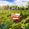 3 Pack Tomatoes Yard Sign 12" x 16" Double-sided Print