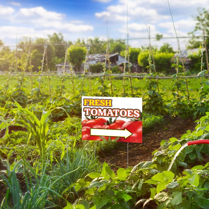 3 Pack Tomatoes Yard Sign 12" x 16" Double-sided Print