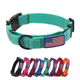 Yunleparks Martingale Dog Collar Quick Release Buckle No Pull Reflective Non-Slip for Medium Large Dogs Training (Teal, Medium)