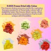 G-BOX Freeze-Dried Jello Cubes | USA-Made Freeze Dried Jelly Candy