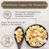 Virginia Diner Unsalted Virginia Peanuts - XL Gourmet Natural Peanuts