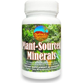 Outback Naturals Plant-Sourced Minerals 60 ct (Organic Trace Minerals and Antioxidants)