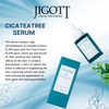 Jigott CicaTeatree Serum