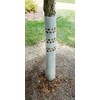 BestNest Tree Pro Bark Pro 36" Vented Tree Protectors – Pack of 5